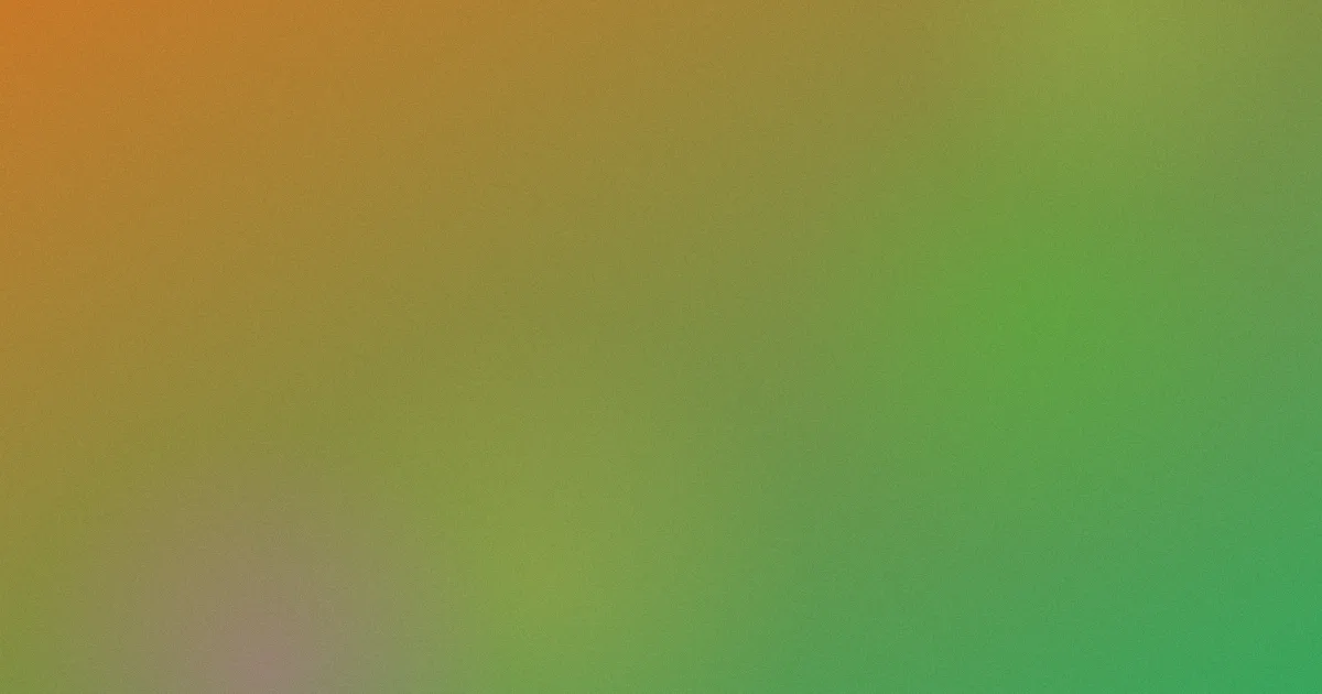 加州靡情推荐：新手入坑指南